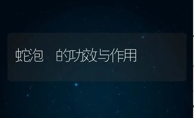 蛇泡簕的功效与作用 | 养殖资料投稿