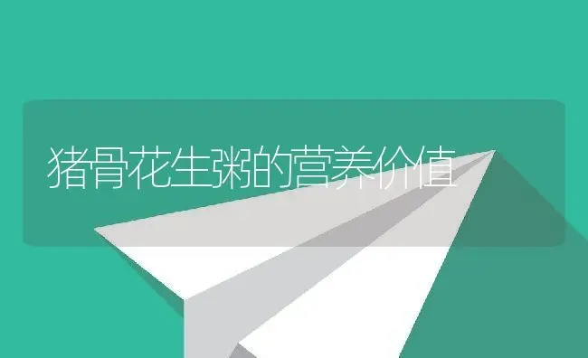猪骨花生粥的营养价值 | 养殖资料投稿