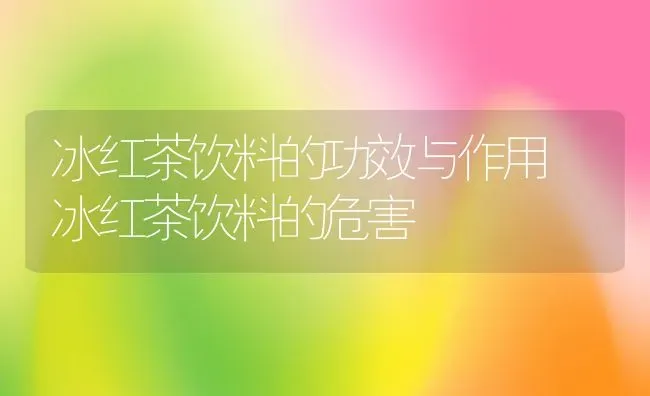 冰红茶饮料的功效与作用 冰红茶饮料的危害 | 养殖资料投稿