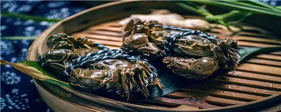 大闸蟹怎么养殖
