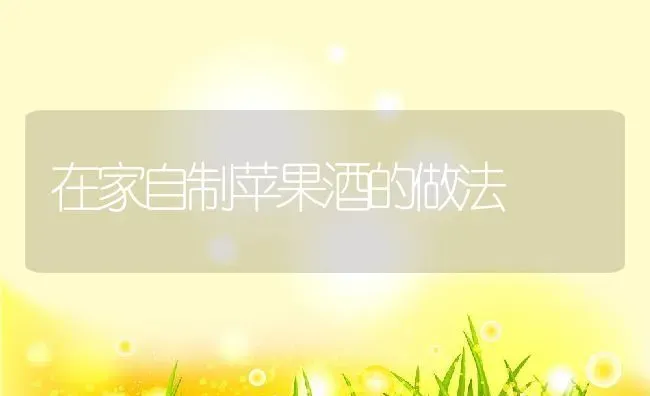 在家自制苹果酒的做法 | 养殖资料投稿