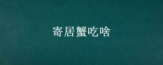 寄居蟹吃啥