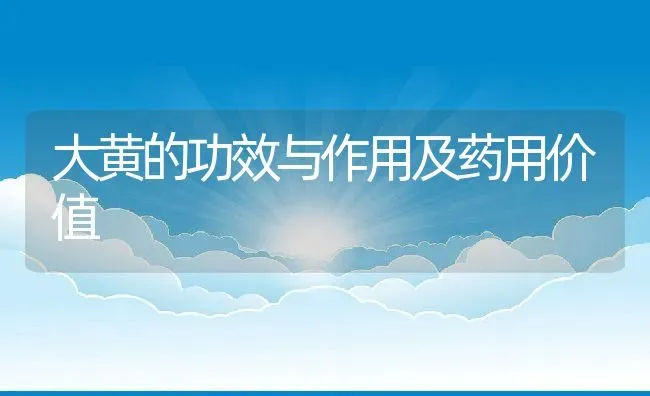 大黄的功效与作用及药用价值 | 养殖资料投稿