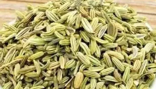 莳萝子和小茴香什么区别？