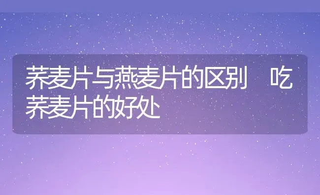 红枣桂圆糯米粥的功效与作用 | 养殖资讯