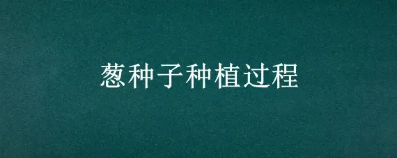 葱种子种植过程