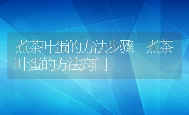 煮茶叶蛋的方法步骤 煮茶叶蛋的方法窍门 | 养殖资料投稿