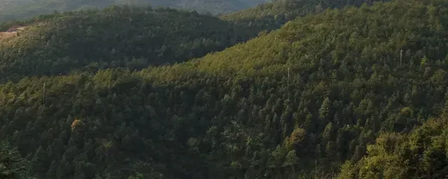 养山羊的利润与成本