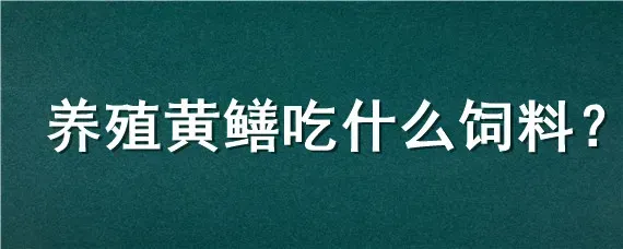 养殖黄鳝吃什么饲料