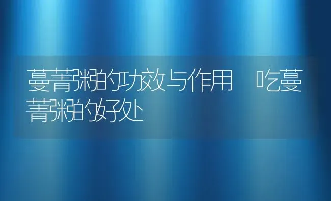 蔓菁粥的功效与作用 吃蔓菁粥的好处 | 养殖资讯
