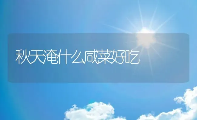 秋天淹什么咸菜好吃 | 养殖资料投稿
