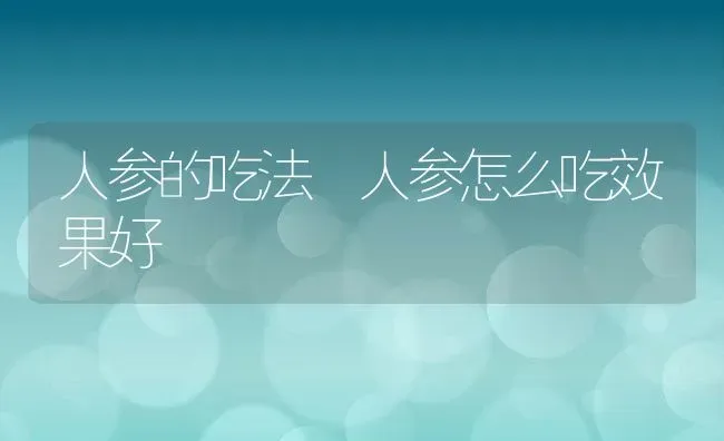 人参的吃法 人参怎么吃效果好 | 养殖资料投稿