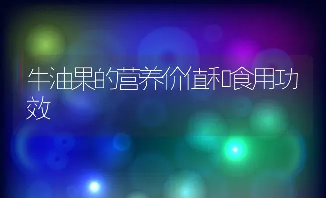 牛油果的营养价值和食用功效 | 养殖资料投稿