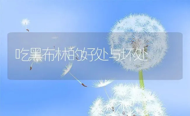 吃黑布林的好处与坏处 | 养殖资料投稿