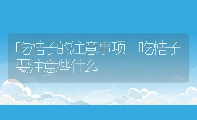 吃桔子的注意事项 吃桔子要注意些什么 | 养殖资料投稿