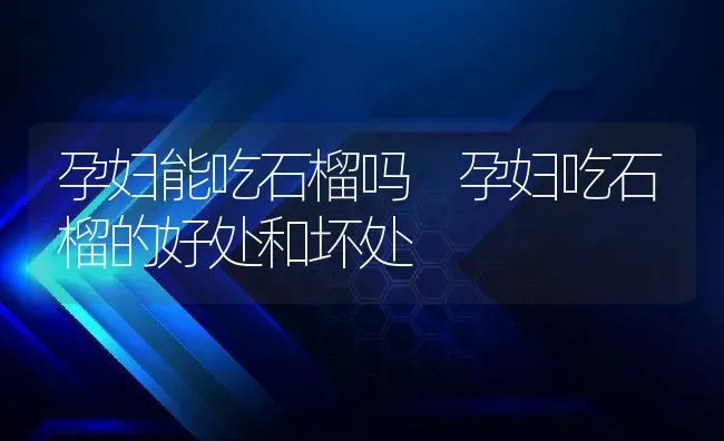 孕妇能吃石榴吗 孕妇吃石榴的好处和坏处 | 养殖资料投稿