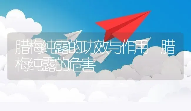 腊梅纯露的功效与作用 腊梅纯露的危害 | 养殖资料投稿
