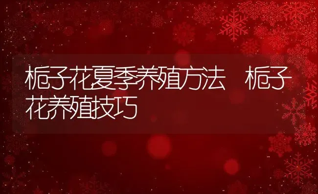 栀子花夏季养殖方法 栀子花养殖技巧 | 养殖资料投稿