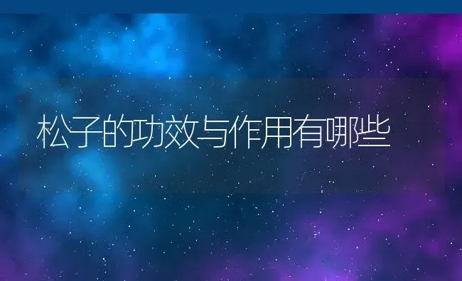 松子的功效与作用有哪些 | 养殖资料投稿