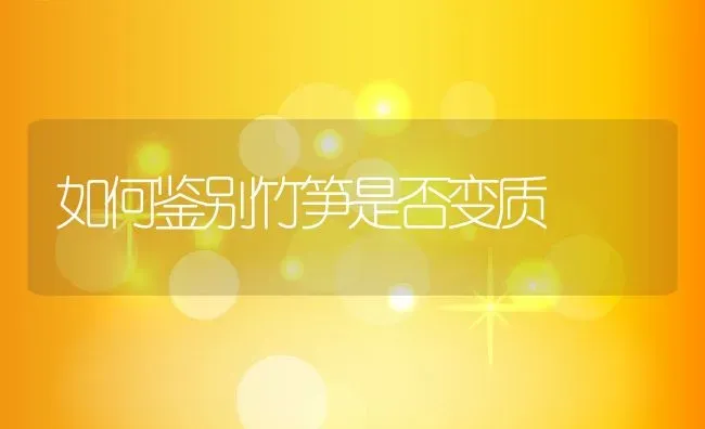 如何鉴别竹笋是否变质 | 养殖资料投稿