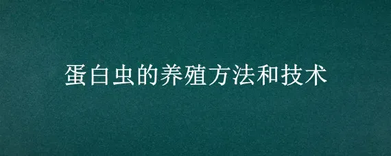 蛋白虫的养殖方法和技术