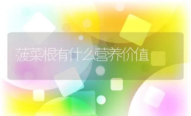 菠菜根有什么营养价值 | 养殖资料投稿