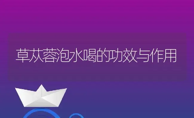 草苁蓉泡水喝的功效与作用 | 养殖资料投稿