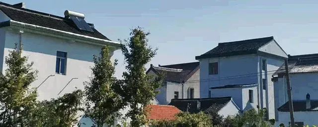 农村养殖业什么赚钱