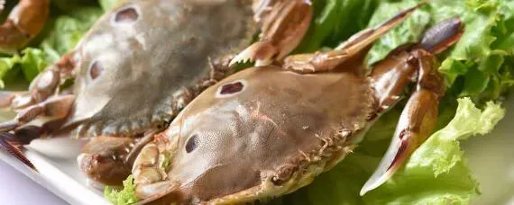 梭子蟹长什么样