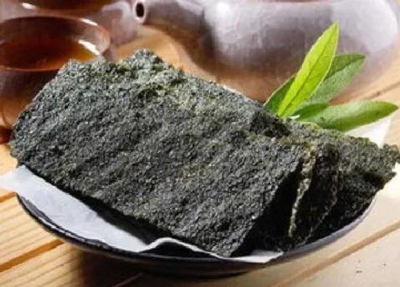 蔬菜|紫菜是什么菜