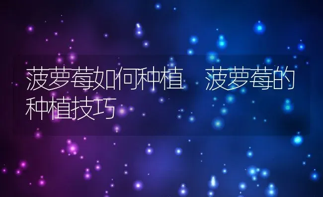 菠萝莓如何种植 菠萝莓的种植技巧 | 养殖资料投稿