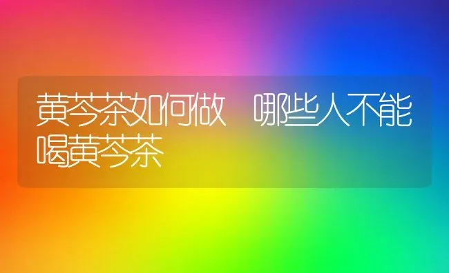 黄芩茶如何做 哪些人不能喝黄芩茶 | 养殖资料投稿