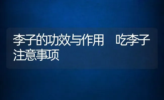 话梅圣女果做法和营养价值 | 养殖资料投稿