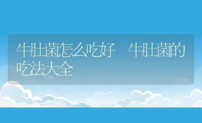 润喉罗汉参汤原料和功效 | 养殖资料投稿