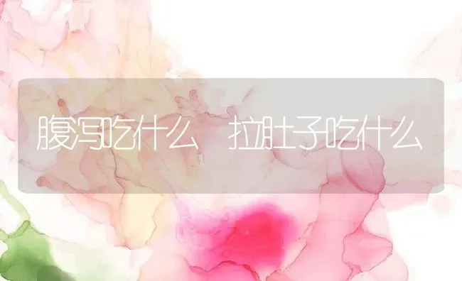 腹泻吃什么 拉肚子吃什么 | 养殖资料投稿