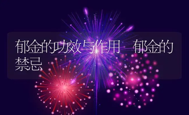 郁金的功效与作用 郁金的禁忌 | 养殖资料投稿