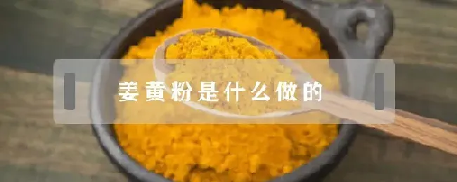 姜黄粉是什么做的