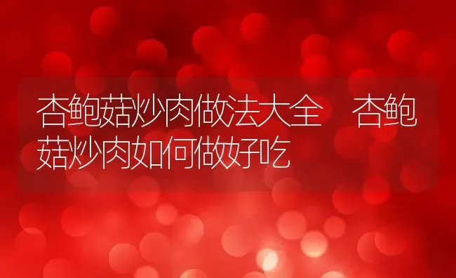 杏鲍菇炒肉做法大全 杏鲍菇炒肉如何做好吃 | 养殖资料投稿