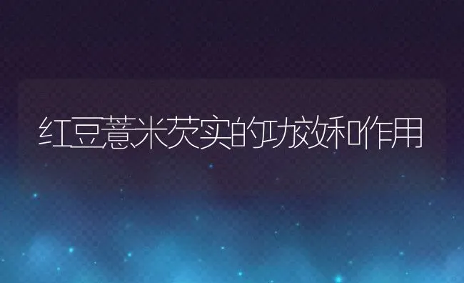 红豆薏米芡实的功效和作用 | 养殖资料投稿