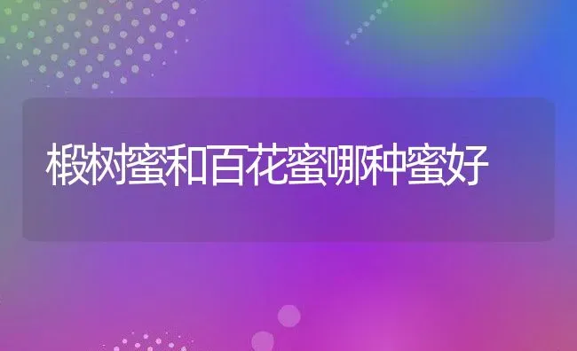 椴树蜜和百花蜜哪种蜜好 | 养殖资料投稿