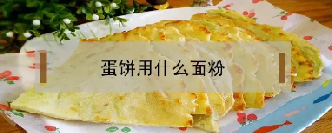 蛋饼用什么面粉