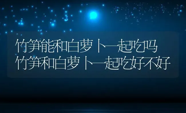 竹笋能和白萝卜一起吃吗 竹笋和白萝卜一起吃好不好 | 养殖资料投稿