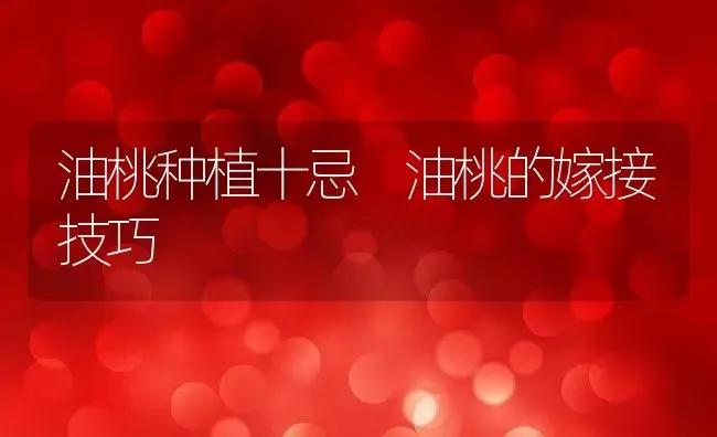 油桃种植十忌 油桃的嫁接技巧 | 养殖资料投稿