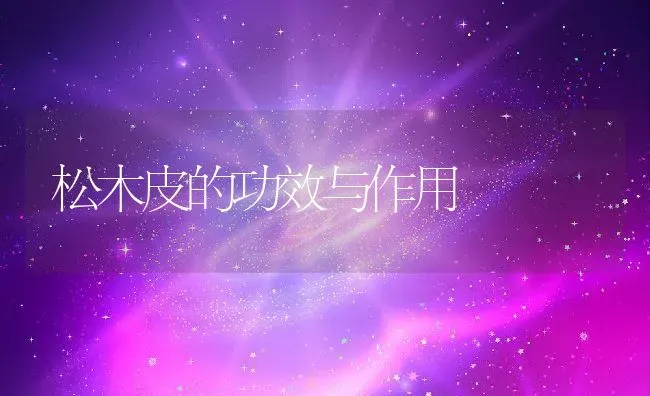 松木皮的功效与作用 | 养殖资料投稿