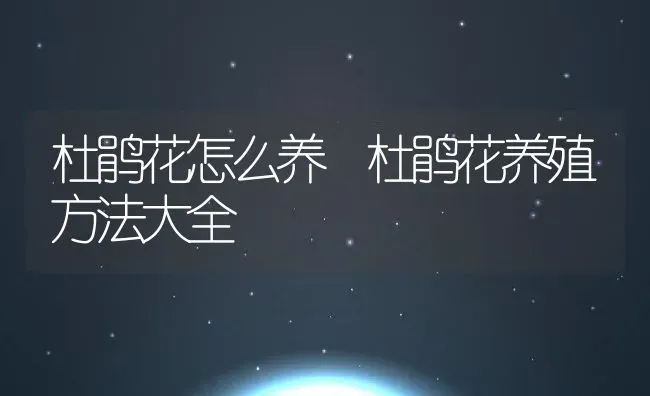 杜鹃花怎么养 杜鹃花养殖方法大全 | 养殖资料投稿