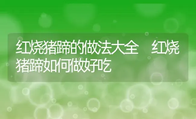 红烧猪蹄的做法大全 红烧猪蹄如何做好吃 | 养殖资料投稿
