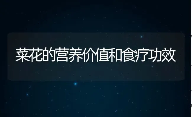 菜花的营养价值和食疗功效 | 养殖资料投稿