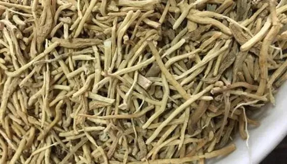 麦冬根须的作用和功效