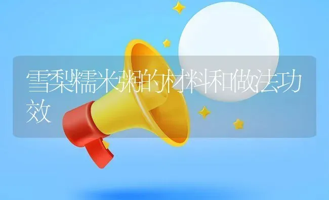 雪梨糯米粥的材料和做法功效 | 养殖资讯