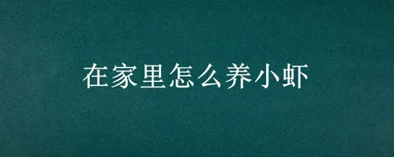 在家里怎么养小虾